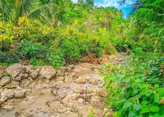 Farm stay Gkg Farm Cebu Ph