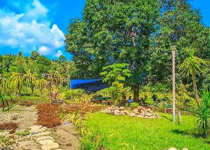 Gkg Farm Cebu Ph Farm stay