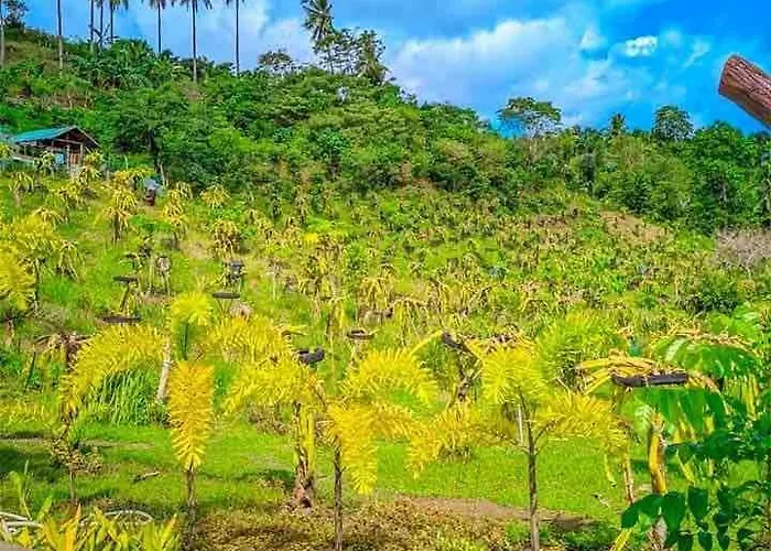 Gkg Farm Cebu Ph Farm stay *