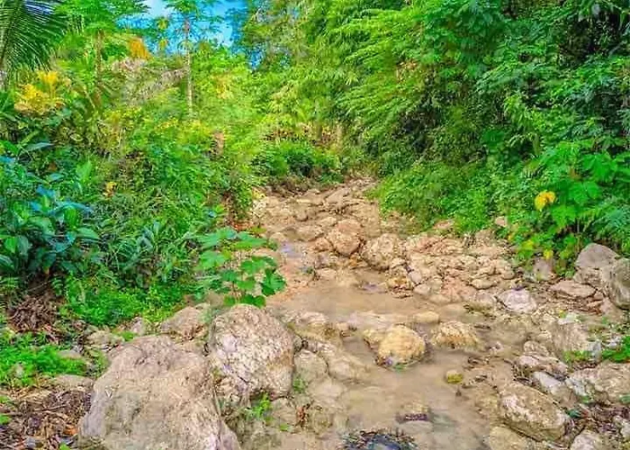 Gkg Farm Cebu Ph Carmen (Cebu)