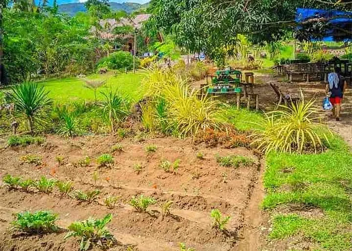 Gkg Farm Cebu Ph * Carmen (Cebu)