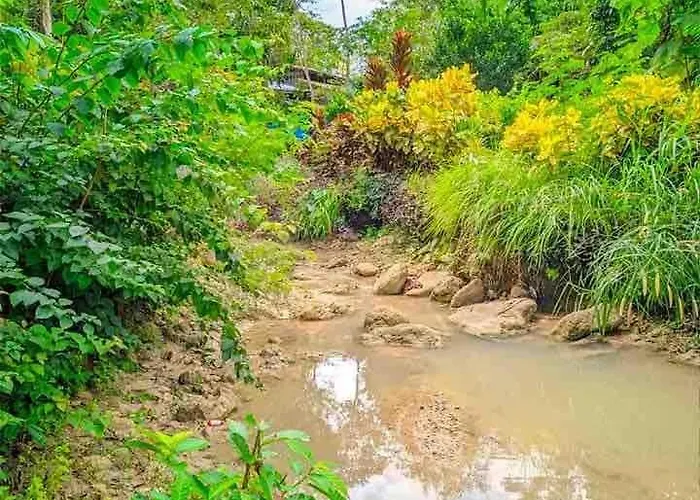 Gkg Farm Cebu Ph