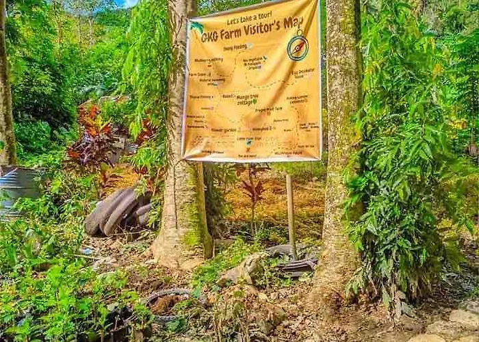 Gkg Farm Cebu Ph Carmen (Cebu)