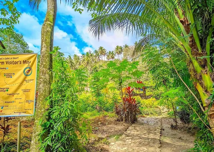 Gkg Farm Cebu Ph Farm stay