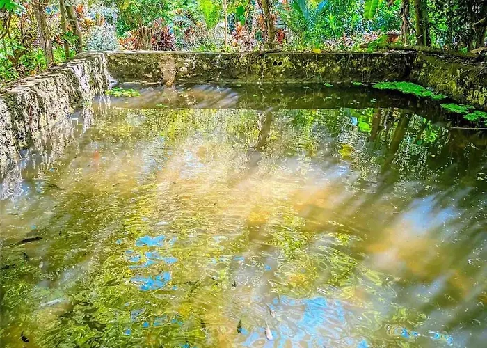 Gkg Farm Cebu Ph