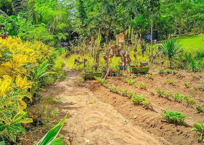 Farm stay Gkg Farm Cebu Ph