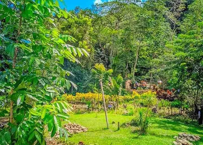 Gkg Farm Cebu Ph
