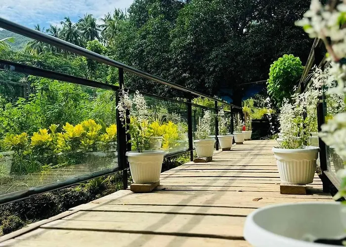 Gkg Farm Cebu Ph Carmen (Cebu)